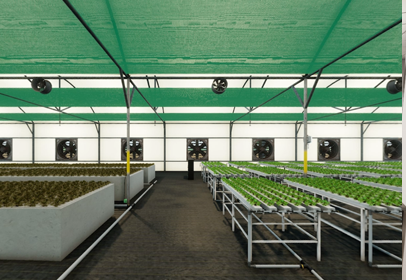 FEV-6-Hydroponic-System