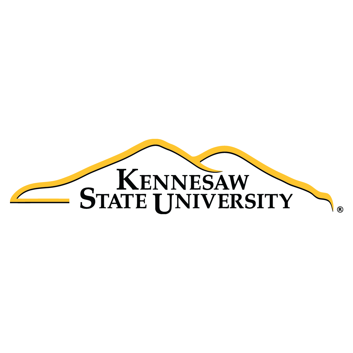 Kennesaw state university