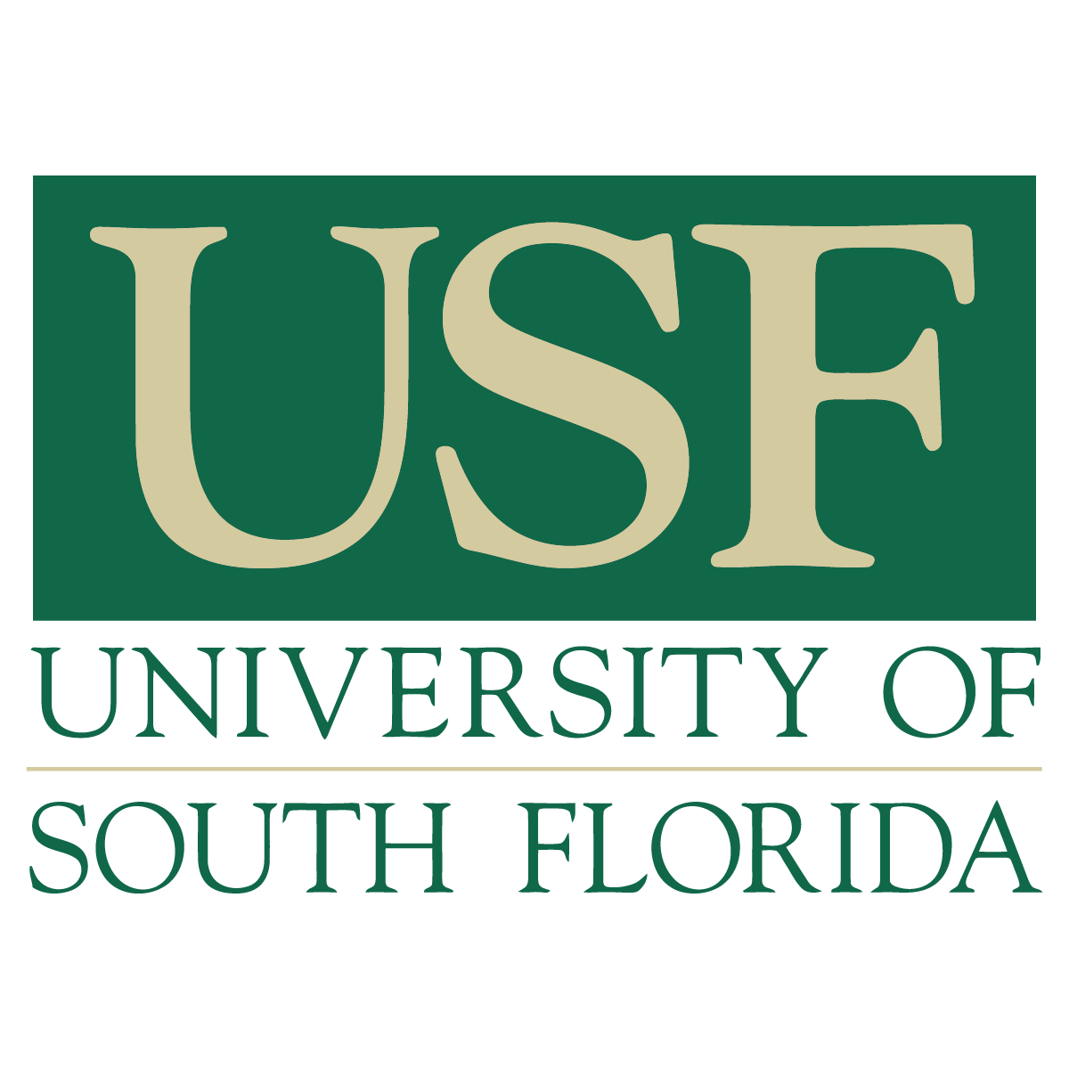 University of south florida