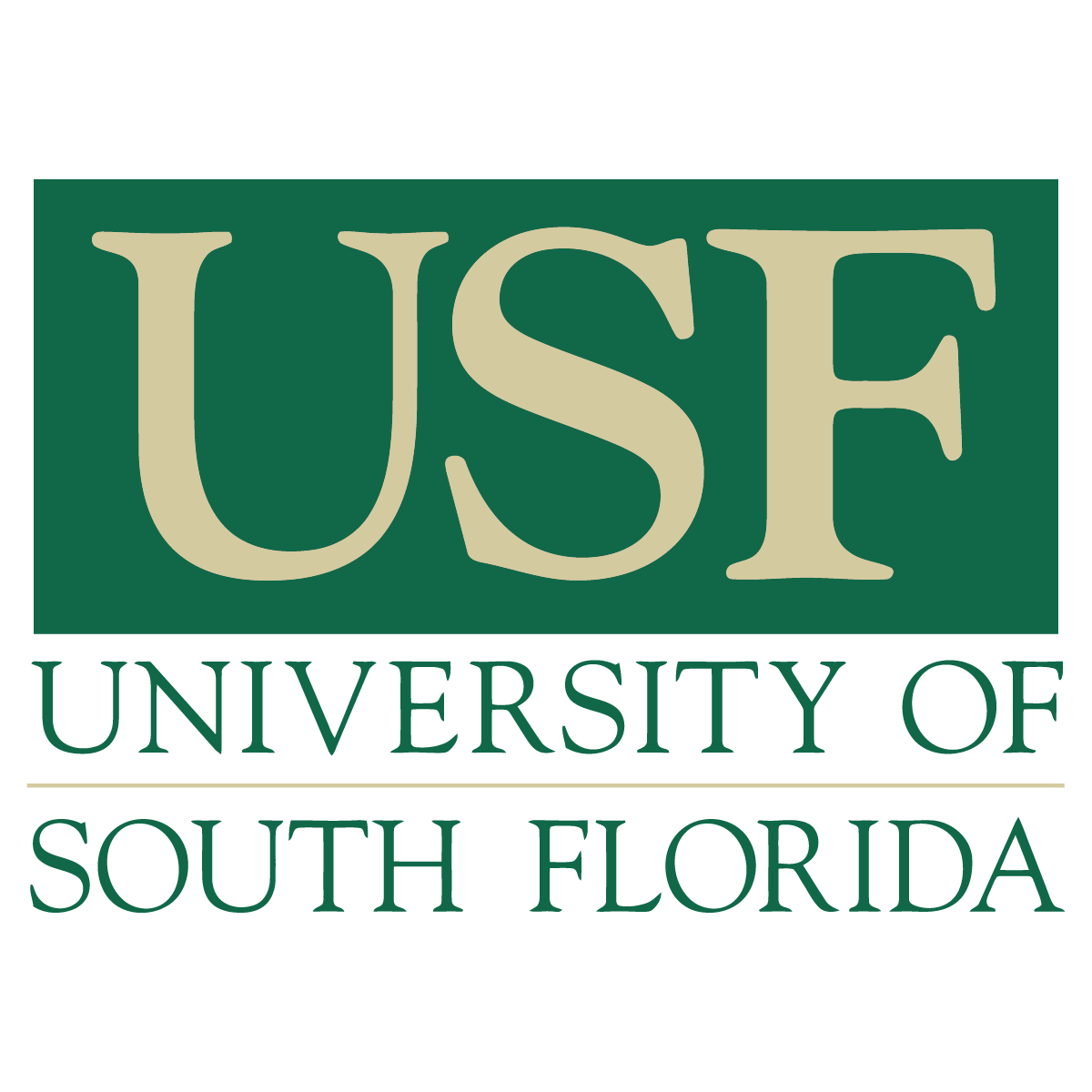 University of south florida